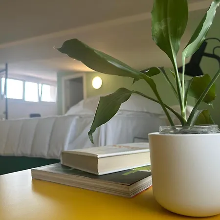 Casa Netural *